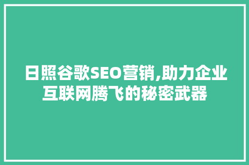 日照谷歌SEO营销,助力企业互联网腾飞的秘密武器