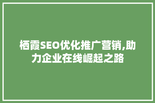 栖霞SEO优化推广营销,助力企业在线崛起之路