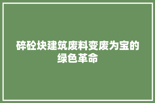 碎砼块建筑废料变废为宝的绿色革命  第1张