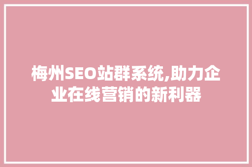 梅州SEO站群系统,助力企业在线营销的新利器