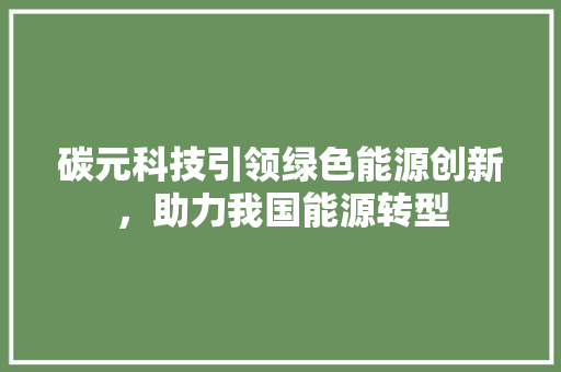 碳元科技引领绿色能源创新，助力我国能源转型  第1张