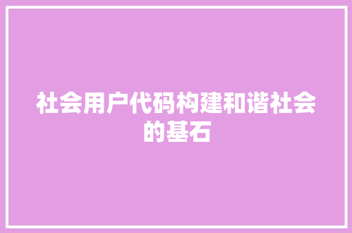社会用户代码构建和谐社会的基石  第1张