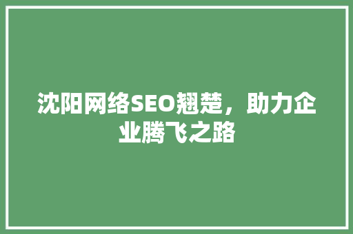 沈阳网络SEO翘楚，助力企业腾飞之路