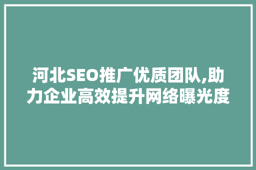 河北SEO推广优质团队,助力企业高效提升网络曝光度