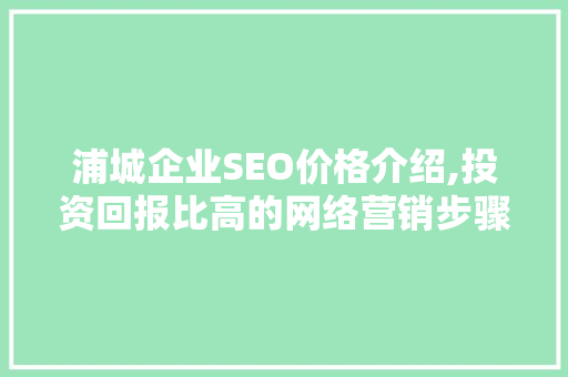 浦城企业SEO价格介绍,投资回报比高的网络营销步骤