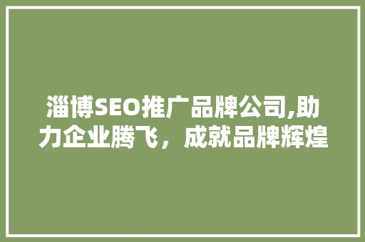 淄博SEO推广品牌公司,助力企业腾飞，成就品牌辉煌