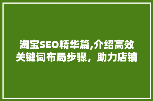 淘宝SEO精华篇,介绍高效关键词布局步骤，助力店铺快速收录