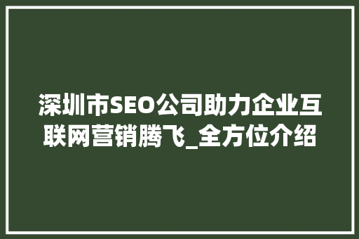 深圳市SEO公司助力企业互联网营销腾飞_全方位介绍互联网营销步骤