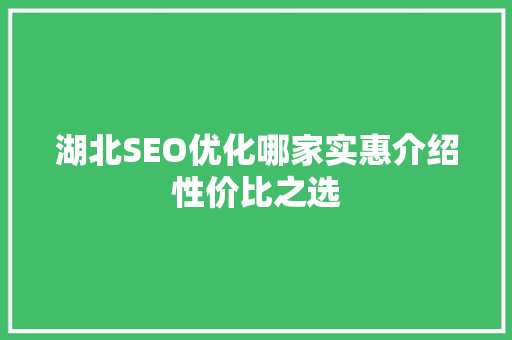 湖北SEO优化哪家实惠介绍性价比之选