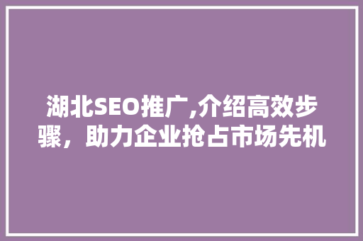 湖北SEO推广,介绍高效步骤，助力企业抢占市场先机