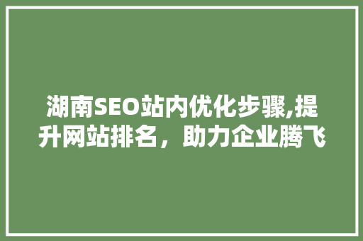 湖南SEO站内优化步骤,提升网站排名，助力企业腾飞