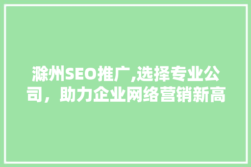 滁州SEO推广,选择专业公司，助力企业网络营销新高度