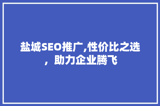 盐城SEO推广,性价比之选，助力企业腾飞