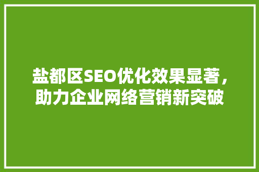 盐都区SEO优化效果显著，助力企业网络营销新突破