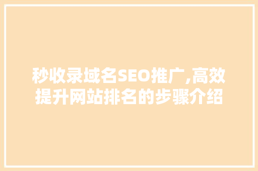 秒收录域名SEO推广,高效提升网站排名的步骤介绍