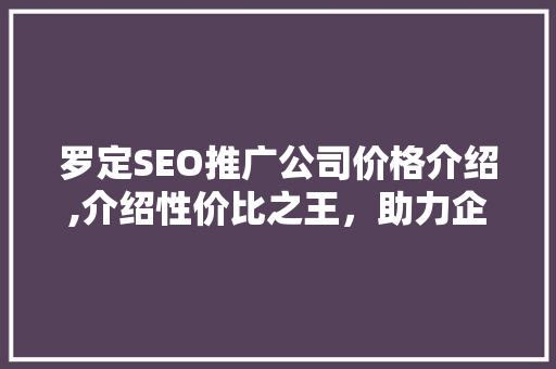 罗定SEO推广公司价格介绍,介绍性价比之王，助力企业腾飞  第1张