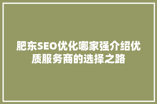 肥东SEO优化哪家强介绍优质服务商的选择之路  第1张