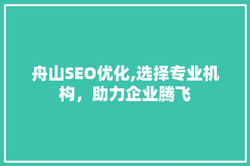 舟山SEO优化,选择专业机构，助力企业腾飞