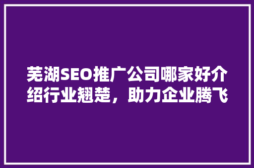 芜湖SEO推广公司哪家好介绍行业翘楚，助力企业腾飞
