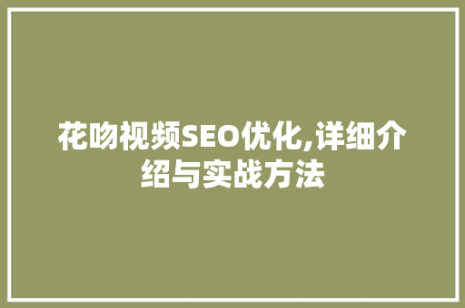 花吻视频SEO优化,详细介绍与实战方法