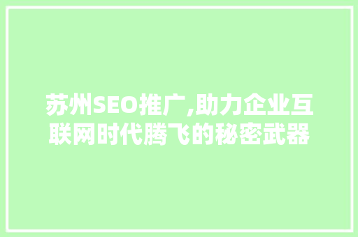 苏州SEO推广,助力企业互联网时代腾飞的秘密武器