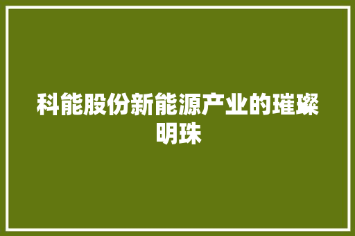 科能股份新能源产业的璀璨明珠
