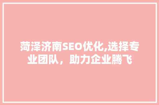 菏泽济南SEO优化,选择专业团队，助力企业腾飞