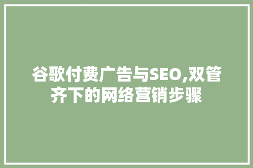 谷歌付费广告与SEO,双管齐下的网络营销步骤