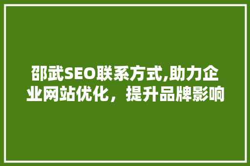 邵武SEO联系方式,助力企业网站优化，提升品牌影响力