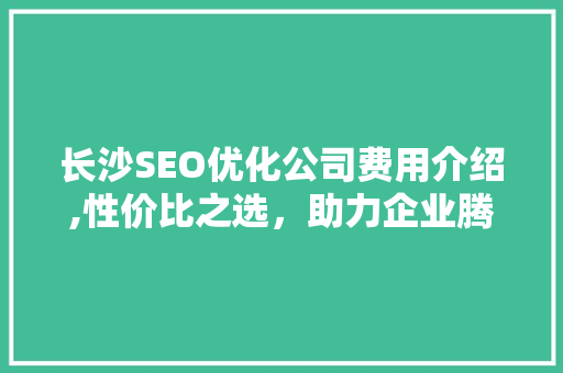 长沙SEO优化公司费用介绍,性价比之选，助力企业腾飞
