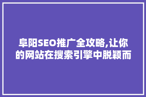 阜阳SEO推广全攻略,让你的网站在搜索引擎中脱颖而出