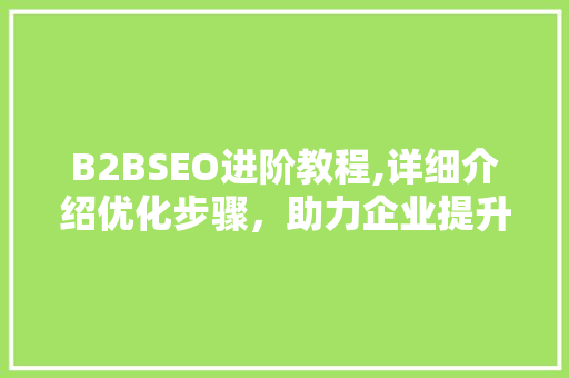 B2BSEO进阶教程,详细介绍优化步骤，助力企业提升在线竞争力
