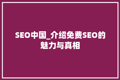 SEO中国_介绍免费SEO的魅力与真相  第1张