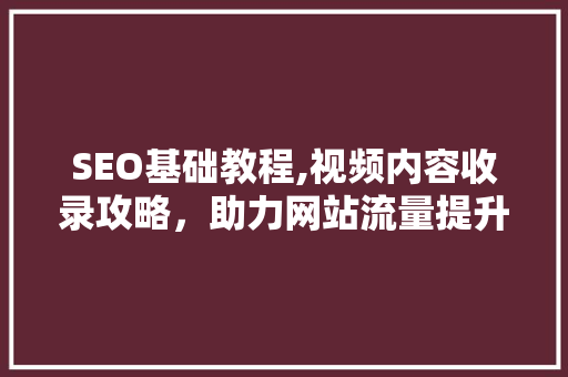 SEO基础教程,视频内容收录攻略，助力网站流量提升