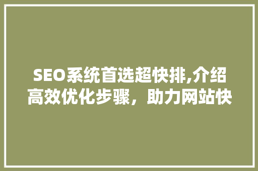 SEO系统首选超快排,介绍高效优化步骤，助力网站快速提升排名  第1张