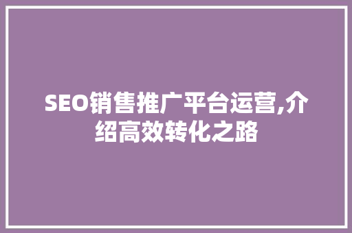 SEO销售推广平台运营,介绍高效转化之路