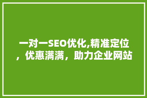 一对一SEO优化,精准定位，优惠满满，助力企业网站排名攀升