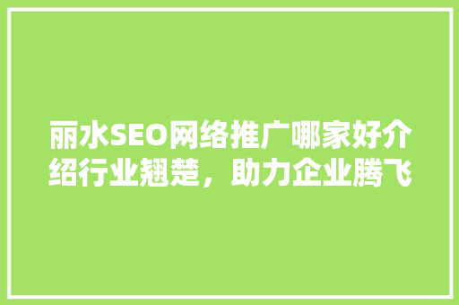 丽水SEO网络推广哪家好介绍行业翘楚，助力企业腾飞