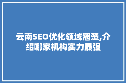 云南SEO优化领域翘楚,介绍哪家机构实力最强