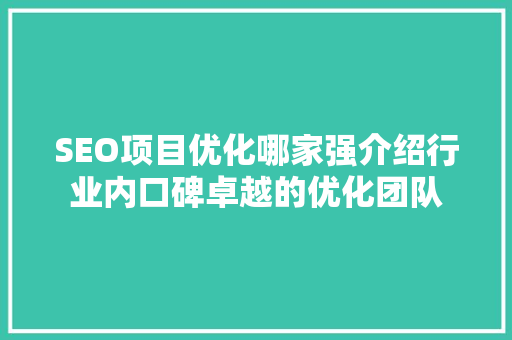 SEO项目优化哪家强介绍行业内口碑卓越的优化团队