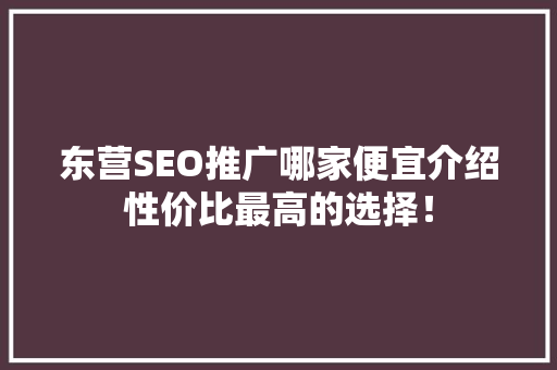 东营SEO推广哪家便宜介绍性价比最高的选择！