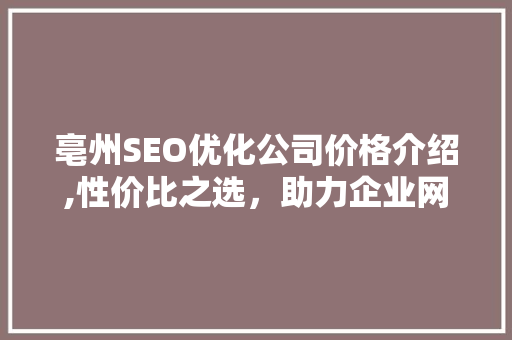 亳州SEO优化公司价格介绍,性价比之选，助力企业网络营销
