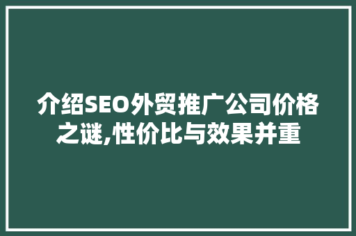 介绍SEO外贸推广公司价格之谜,性价比与效果并重