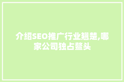 介绍SEO推广行业翘楚,哪家公司独占鳌头