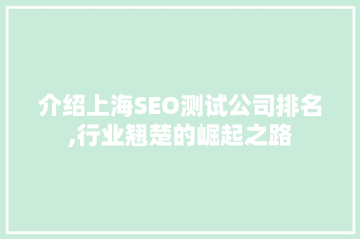 介绍上海SEO测试公司排名,行业翘楚的崛起之路