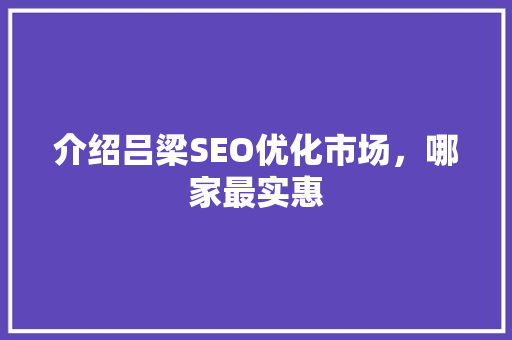 介绍吕梁SEO优化市场，哪家最实惠