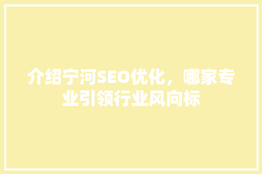 介绍宁河SEO优化，哪家专业引领行业风向标
