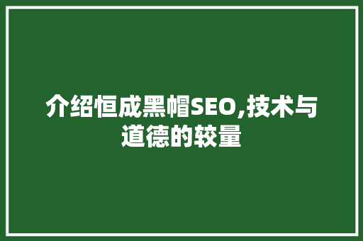 介绍恒成黑帽SEO,技术与道德的较量