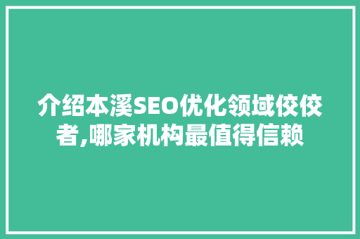 介绍本溪SEO优化领域佼佼者,哪家机构最值得信赖