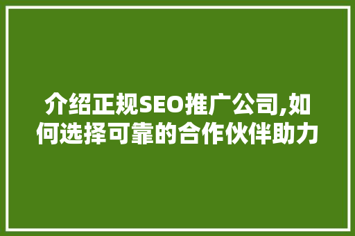 介绍正规SEO推广公司,如何选择可靠的合作伙伴助力企业腾飞  第1张